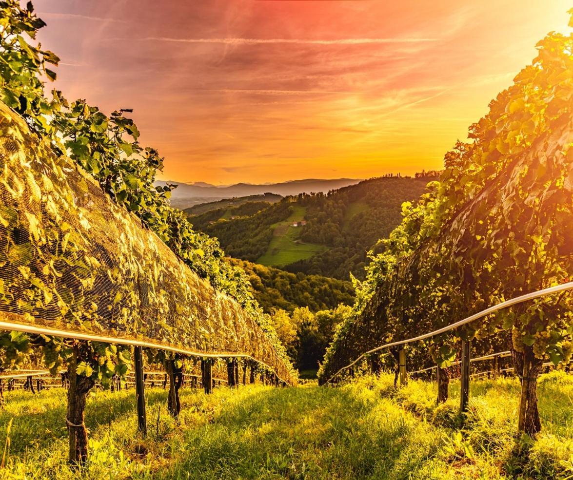 Zum Sausaler - Boutique Hotel-Pension Suedsteiermark Sankt Nikolai im Sausal Exteriör bild